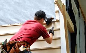 Best Fascia and Soffit Installation  in Edinburg, VA